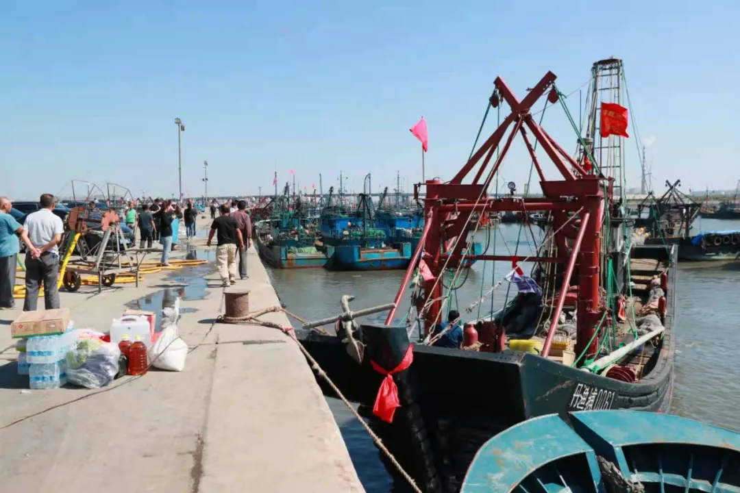 東港，開海了！海鮮批發(fā)海鮮零售請找仟貝福
